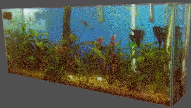 [Tank]